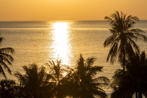 4D3N Phu Quoc Island Free and Easy Tour - photo 29